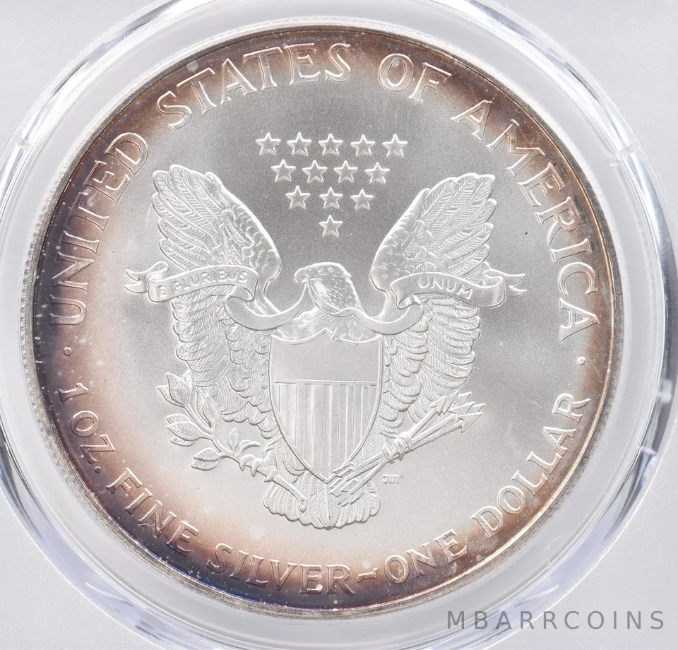2001 American Silver Eagle MS69 PCGS Beautiful Tone Reverse *1117