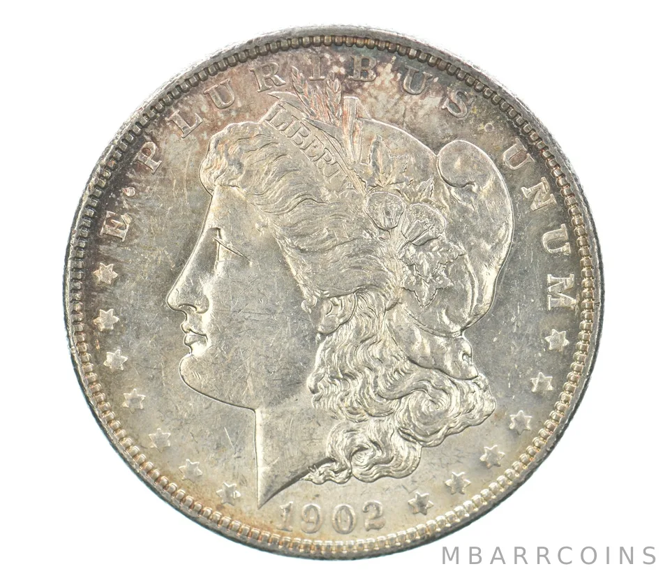1902 Morgan Silver Dollar Peripheral Tone *0454
