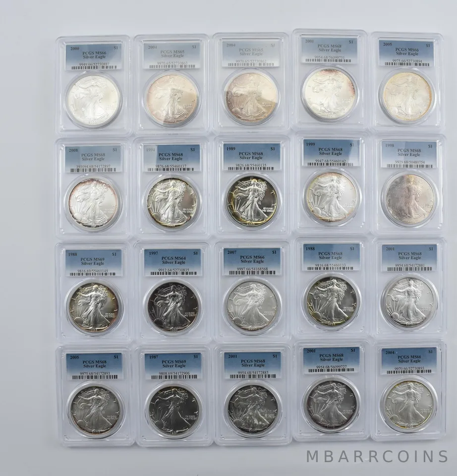 Lot (20) Nice Tone American Silver Eagle PCGS Holder *2000