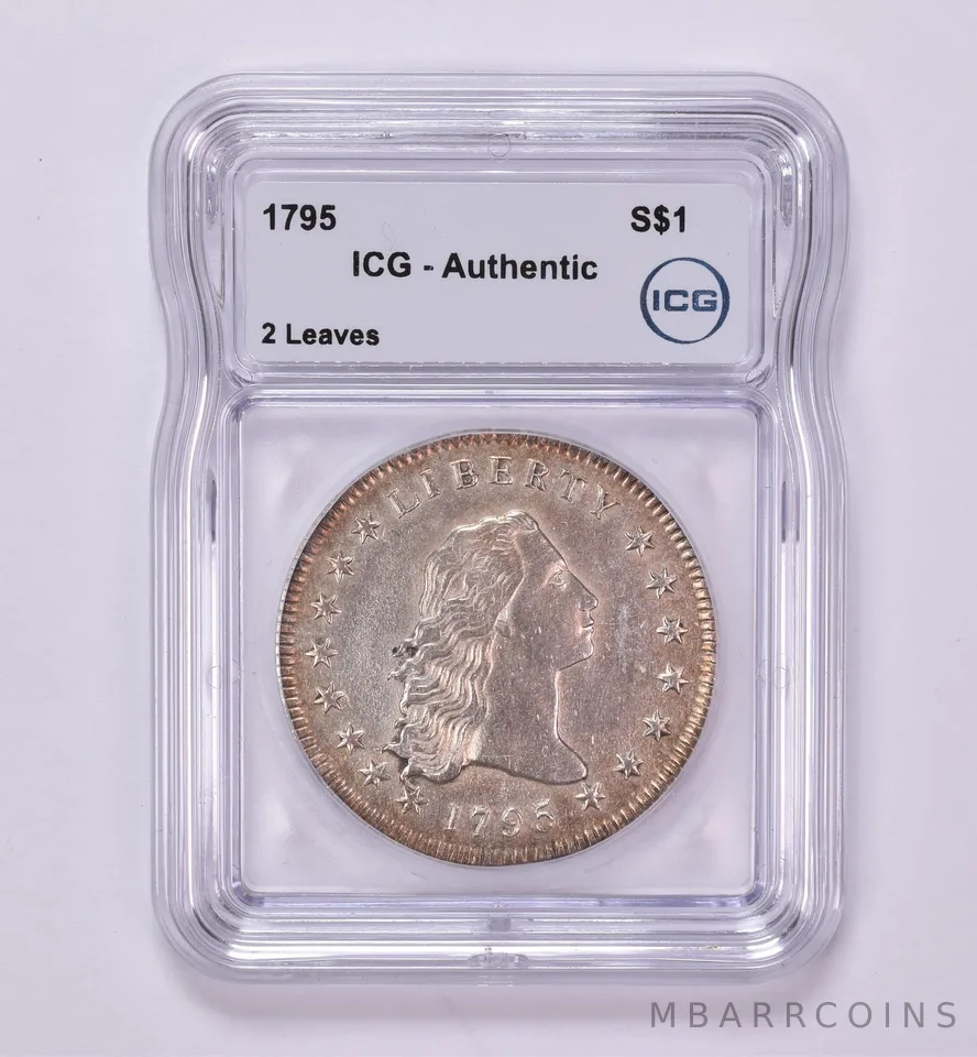1795 Flowing Hair Silver Dollar 2 Leaves Authentic ICG Beautiful Tone *0443