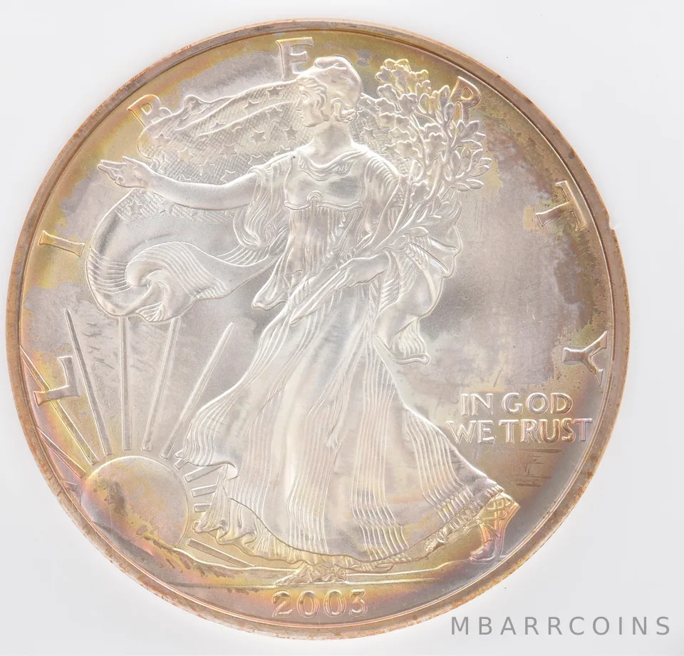2003 American Silver Eagle Peripheral Tone *1107