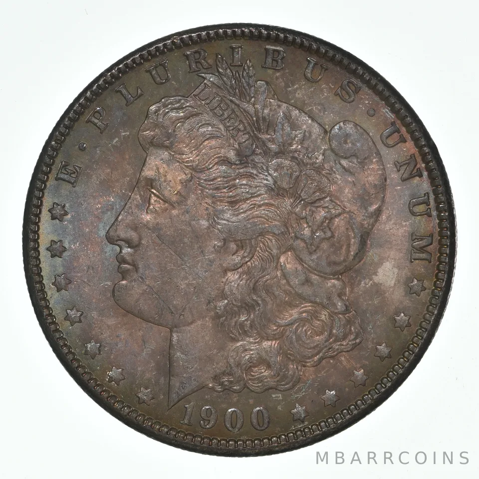 1900 Morgan Silver Dollar - Toned a2475