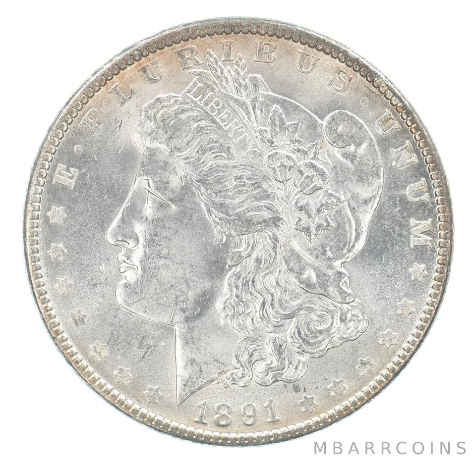 1891 Morgan Silver Dollar Peripheral Tone *0685