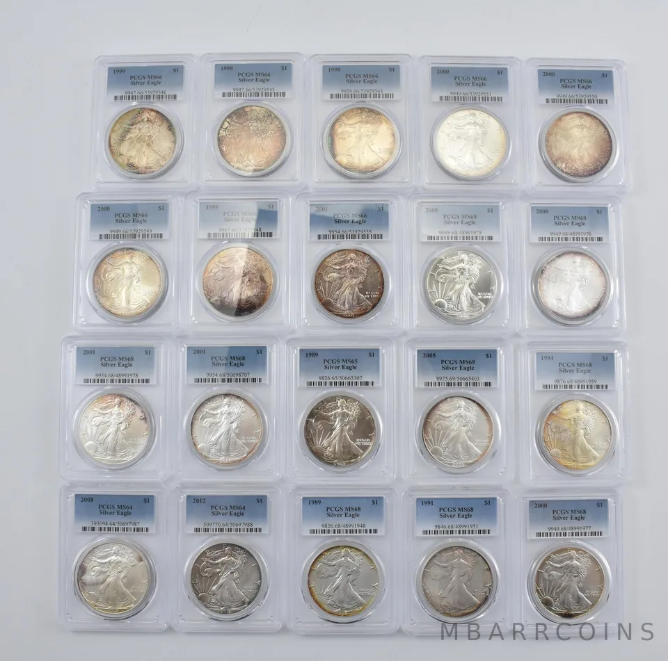 Lot (20) Nice Tone American Silver Eagle PCGS Holder *2885