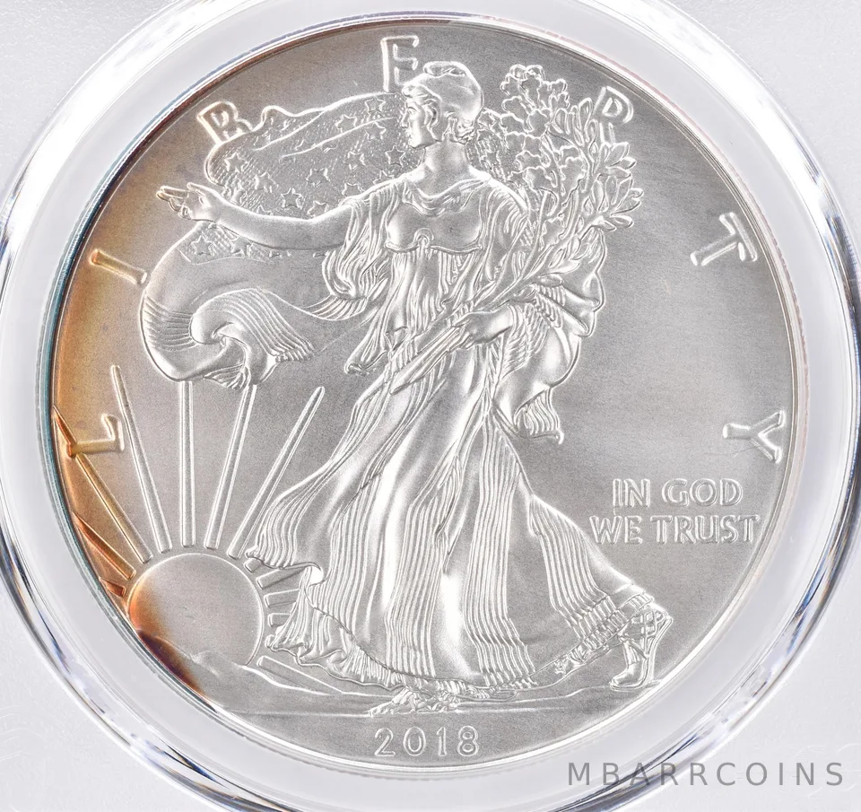 2018-W Burnished American Silver Eagle SP69 PCGS Beautiful Tone *1554