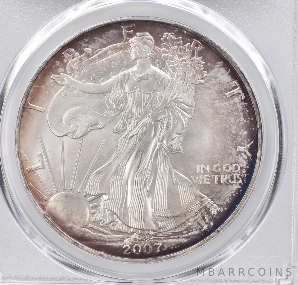 2007 American Silver Eagle MS69 PCGS Peripheral Tone *1139