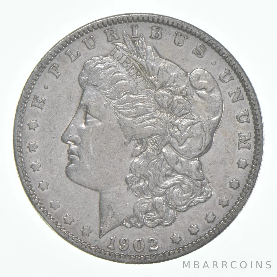VF 1902 (P) Morgan Silver Dollar (1 coin)