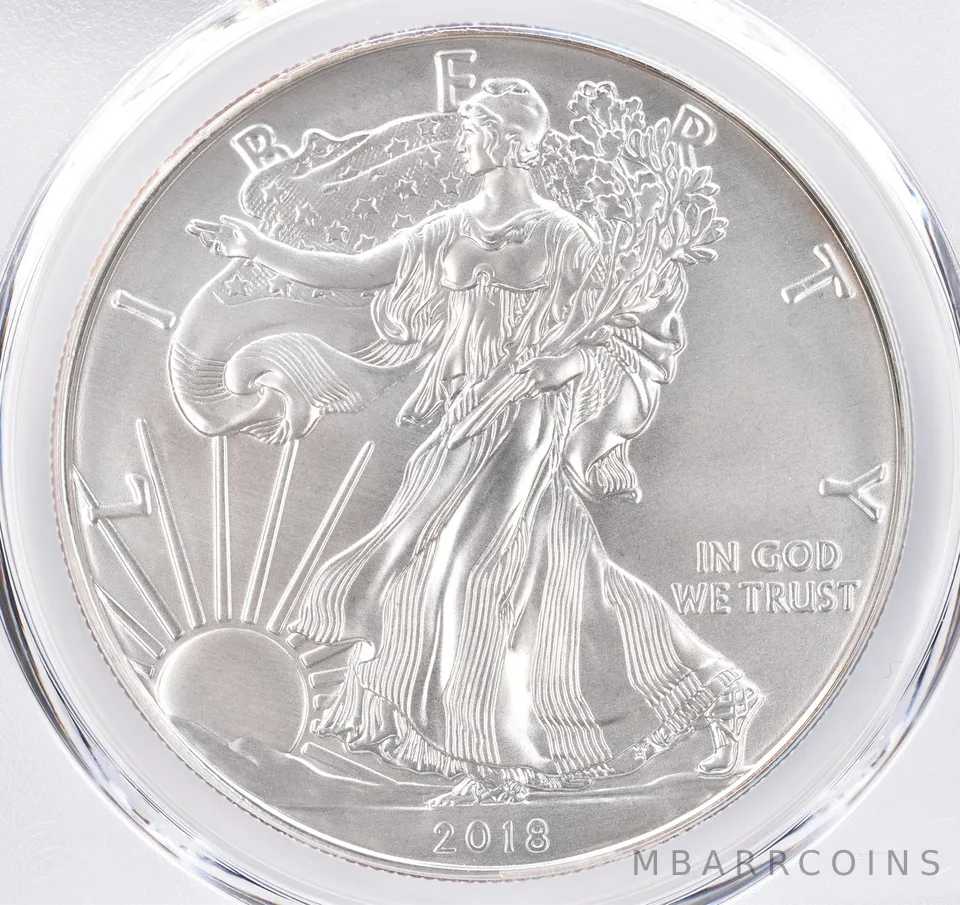 2018-W Burnished American Silver Eagle SP69 PCGS Beautiful Tone *1555