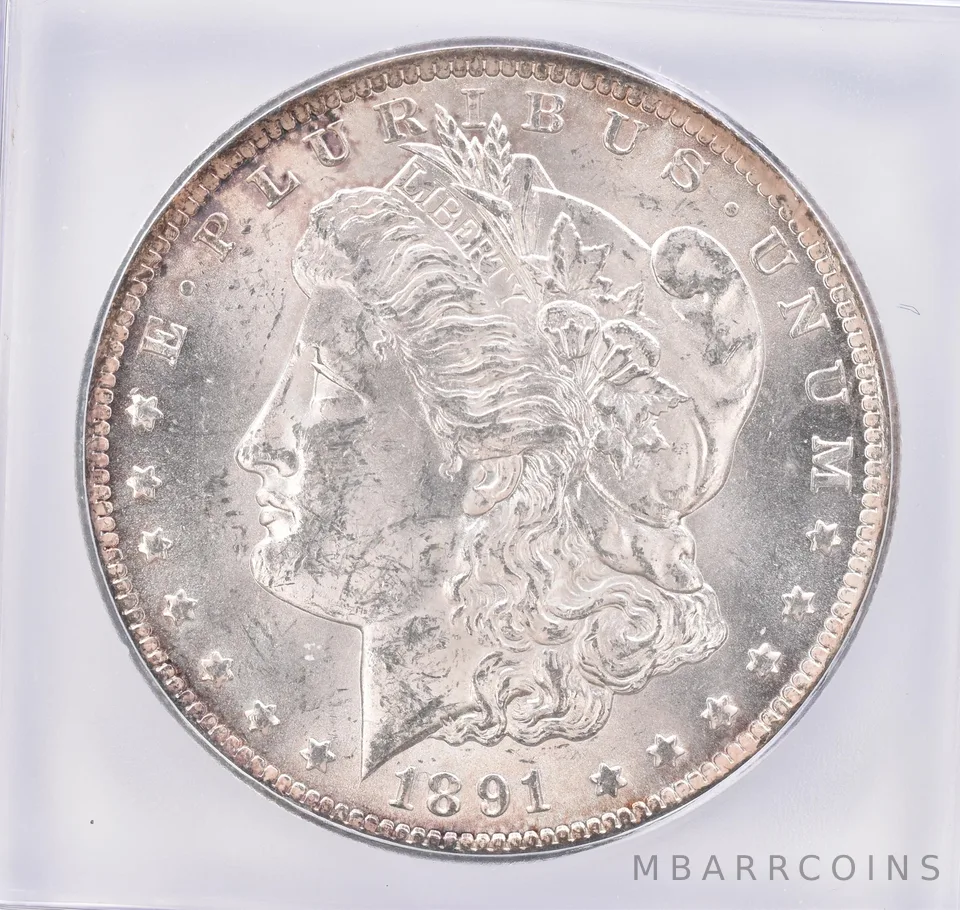 1891-CC Morgan Silver $1 VAM-3 Spitting Eagle ICG Peripheral Tone *1777