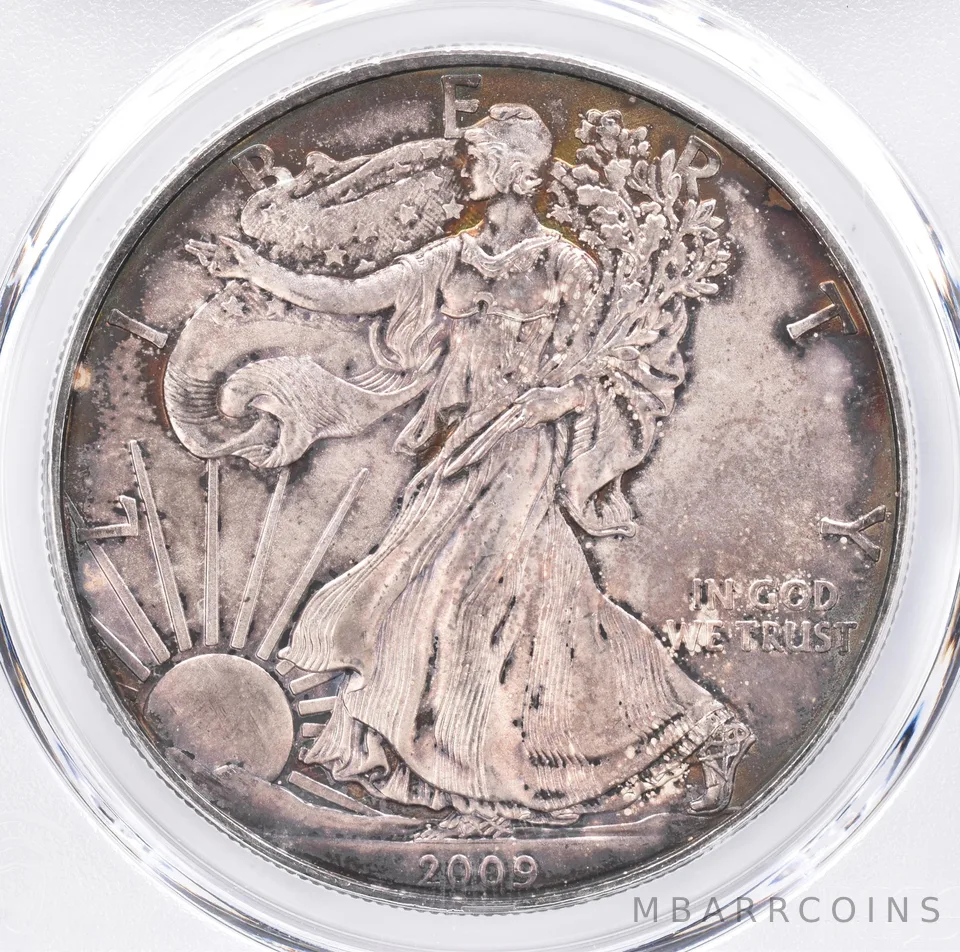 2009 American Silver Eagle MS65 PCGS Beautiful Tone *1454