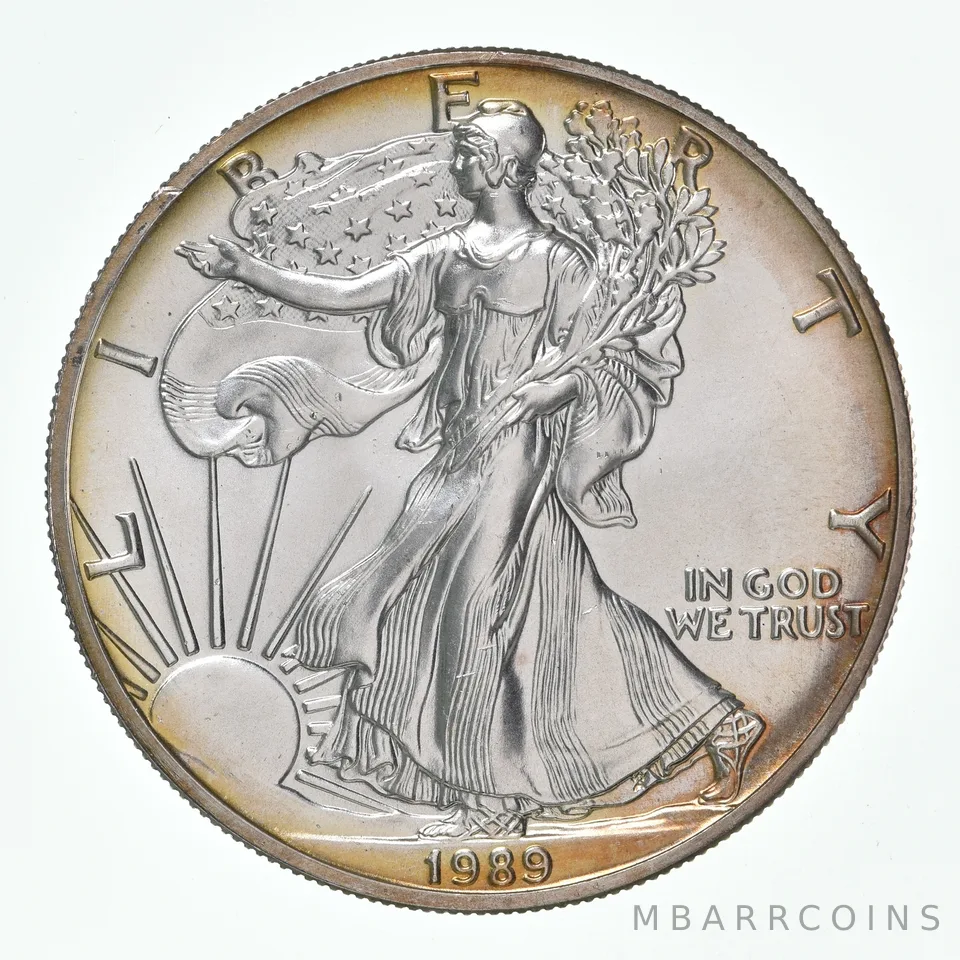 1989 American Silver Eagle - Appealing Tone *2494