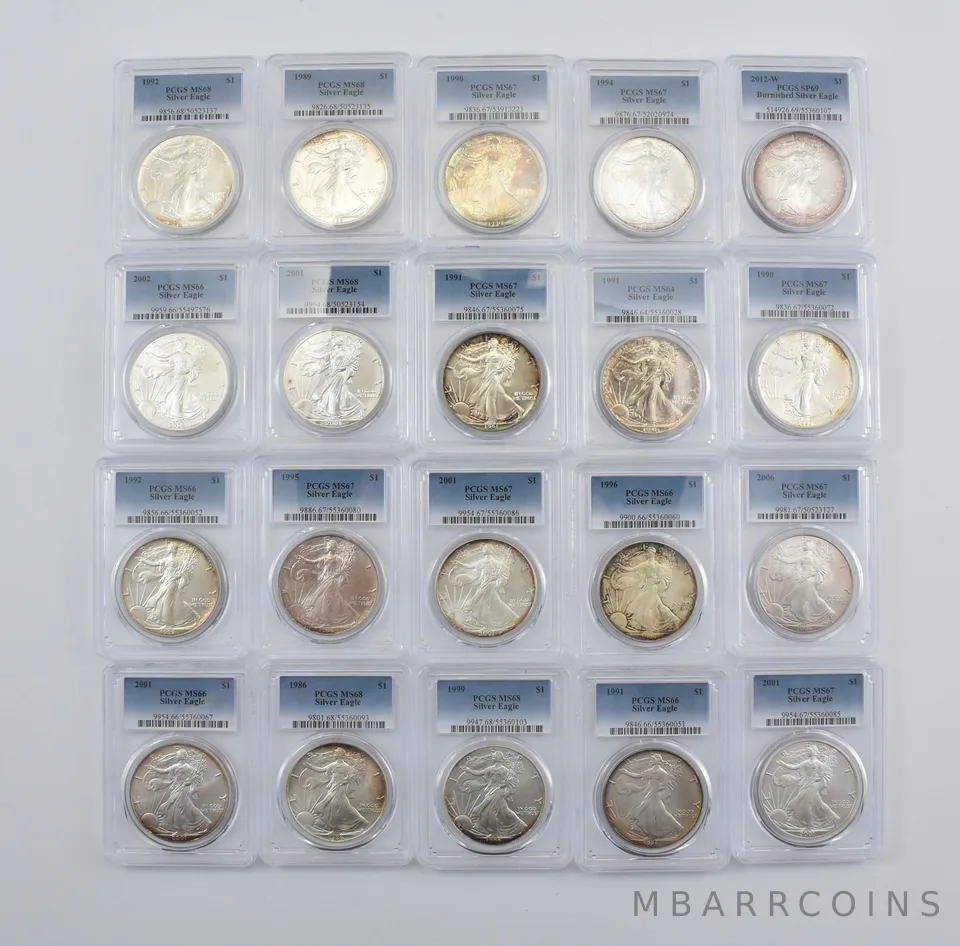 Lot (20) Nice Tone American Silver Eagle PCGS Holder *2890