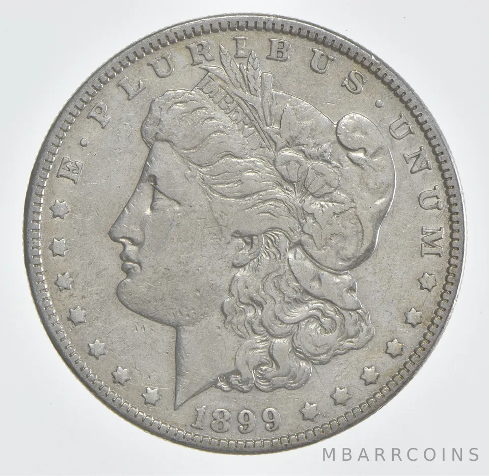 1899 Morgan Silver Dollar *1041