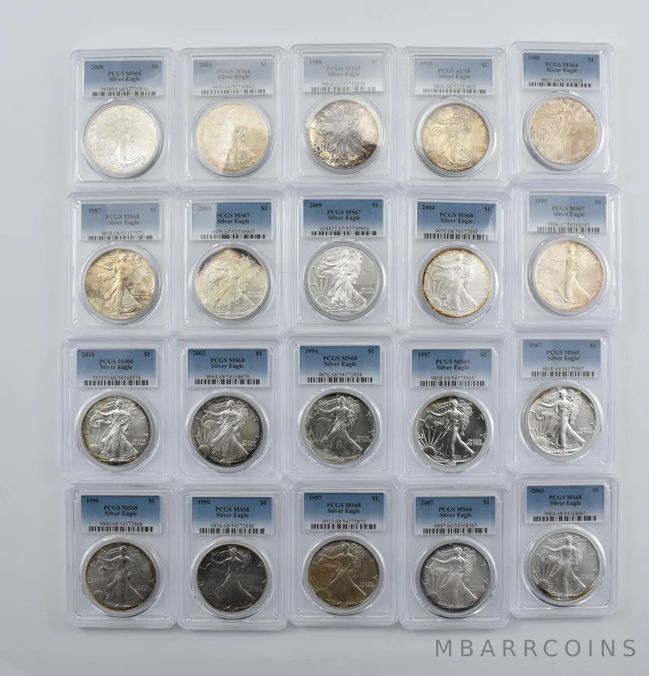 Lot (20) Nice Tone American Silver Eagle PCGS Holder *1996