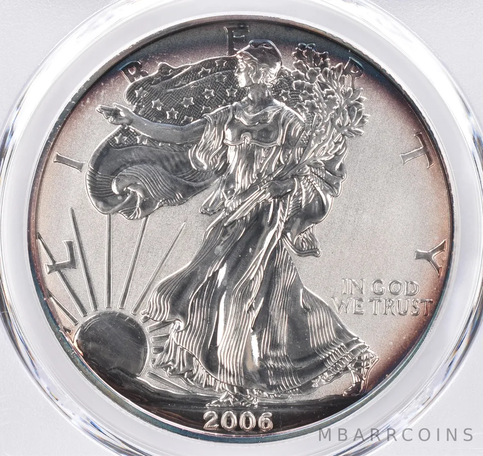 2006-P American Silver Eagle 20th Anniversary Reverse Proof PR69 PCGS Tone *1548