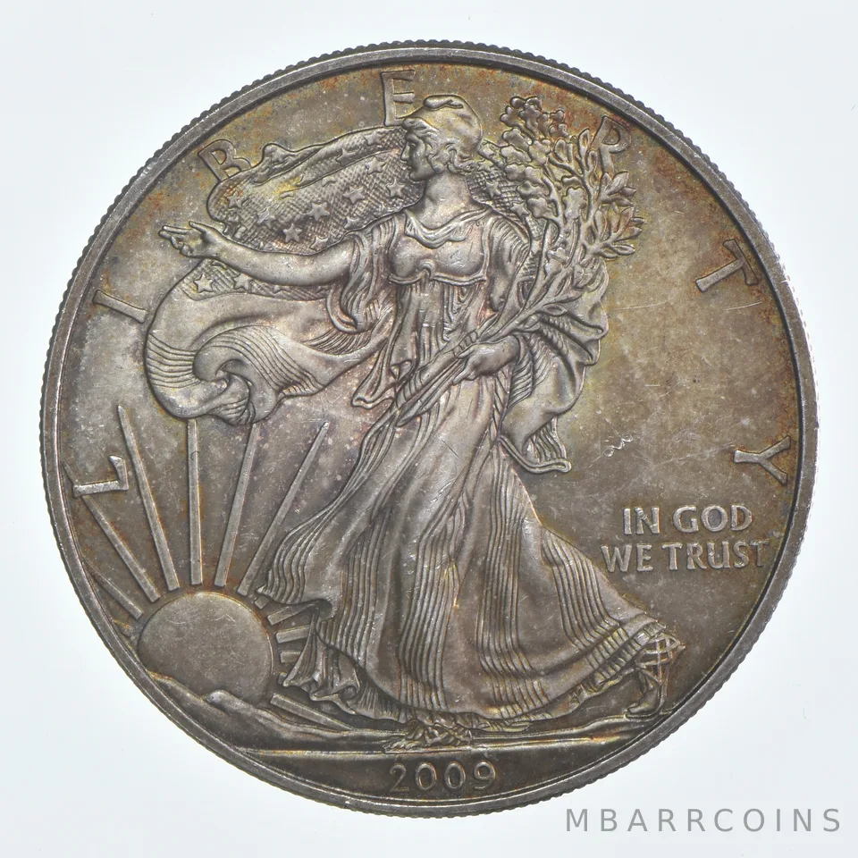 Beautiful Toned - 2009 American Silver Eagle 1 Troy Oz .999 Fine Silver *962