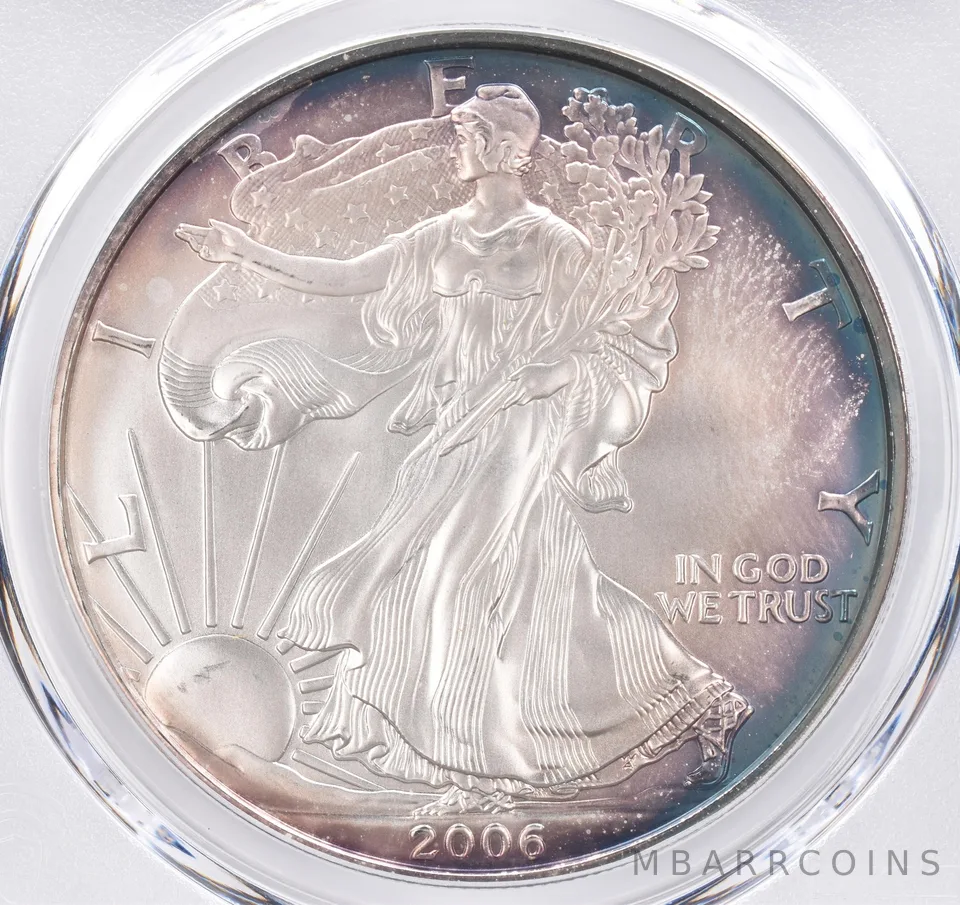 2006-W Burnished American Silver Eagle SP69 PCGS Beautiful Tone *1556