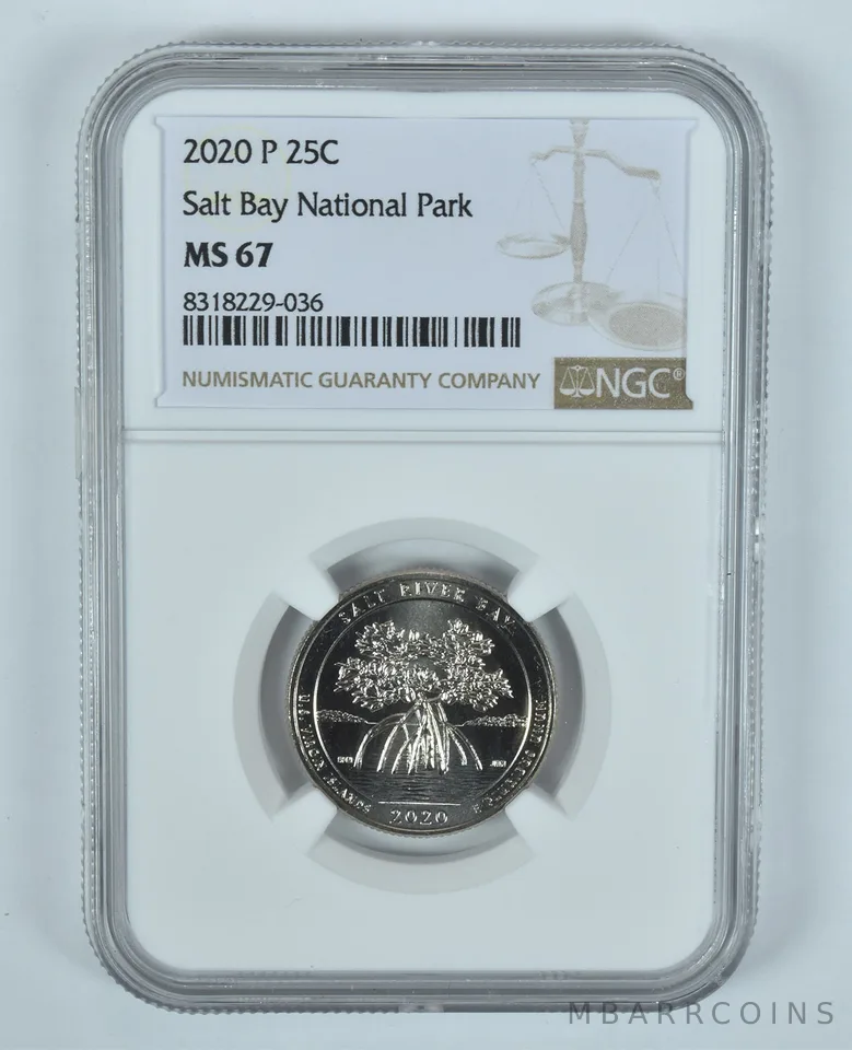 2020-P Washington Quarter Salt Bay National Park ATB MS67 NGC