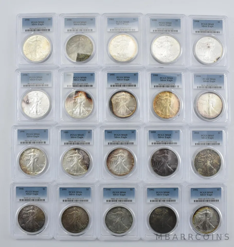 Lot (20) Nice Tone American Silver Eagle PCGS Holder *2006