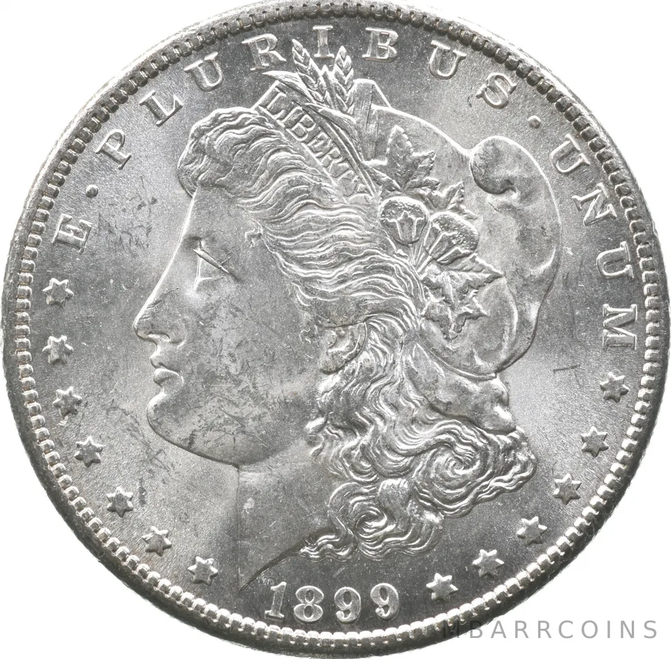 1899-S Morgan Silver Dollar a2845