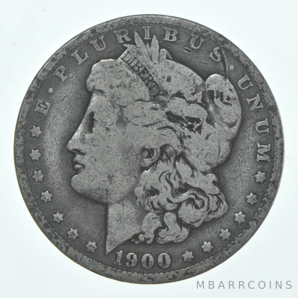 VG/F 1900 (P) Morgan Silver Dollar (1 coin)