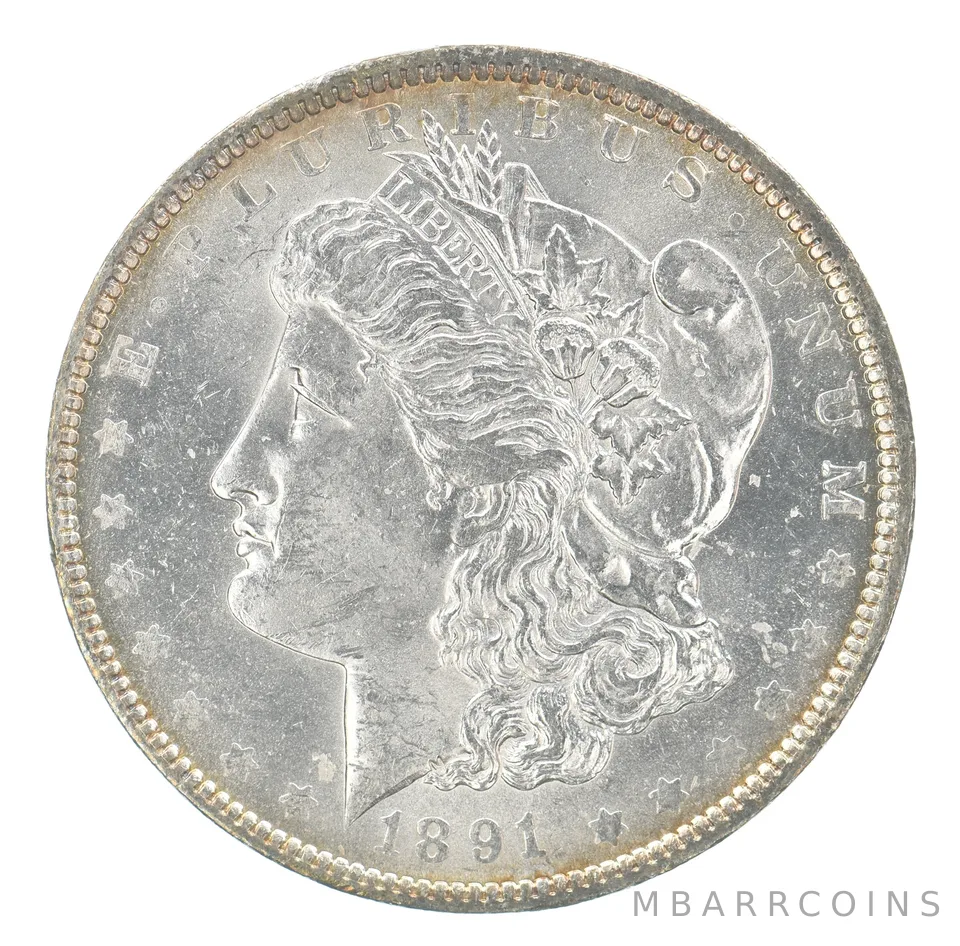 1891-O Morgan Silver Dollar Peripheral Tone *0683