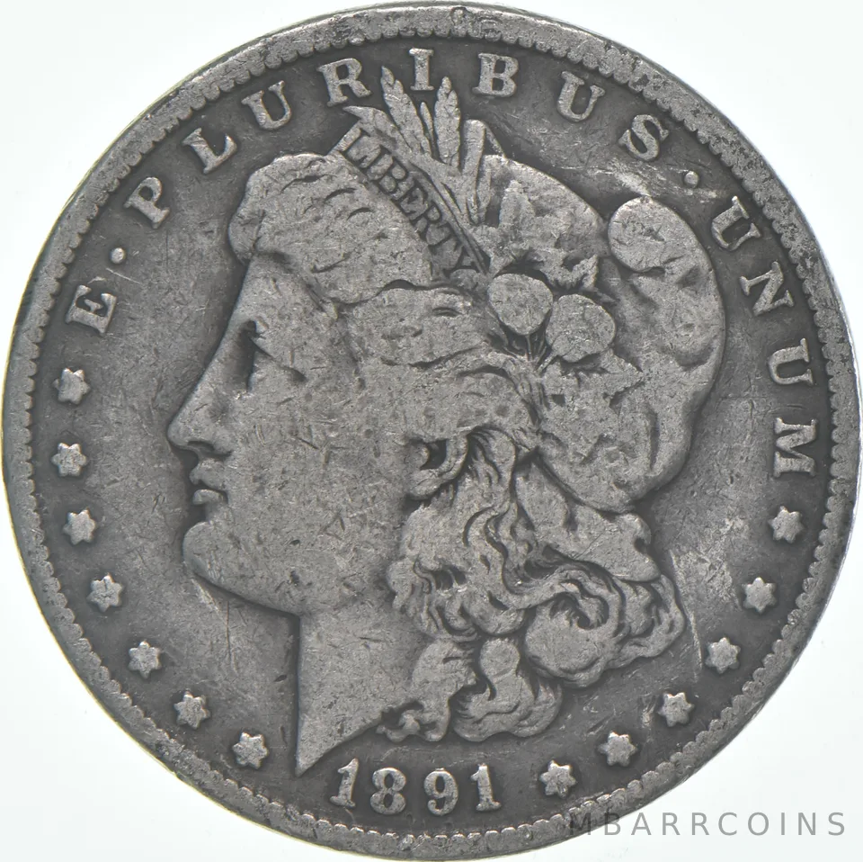 VG/F 1891 (P) Morgan Silver Dollar (1 coin)