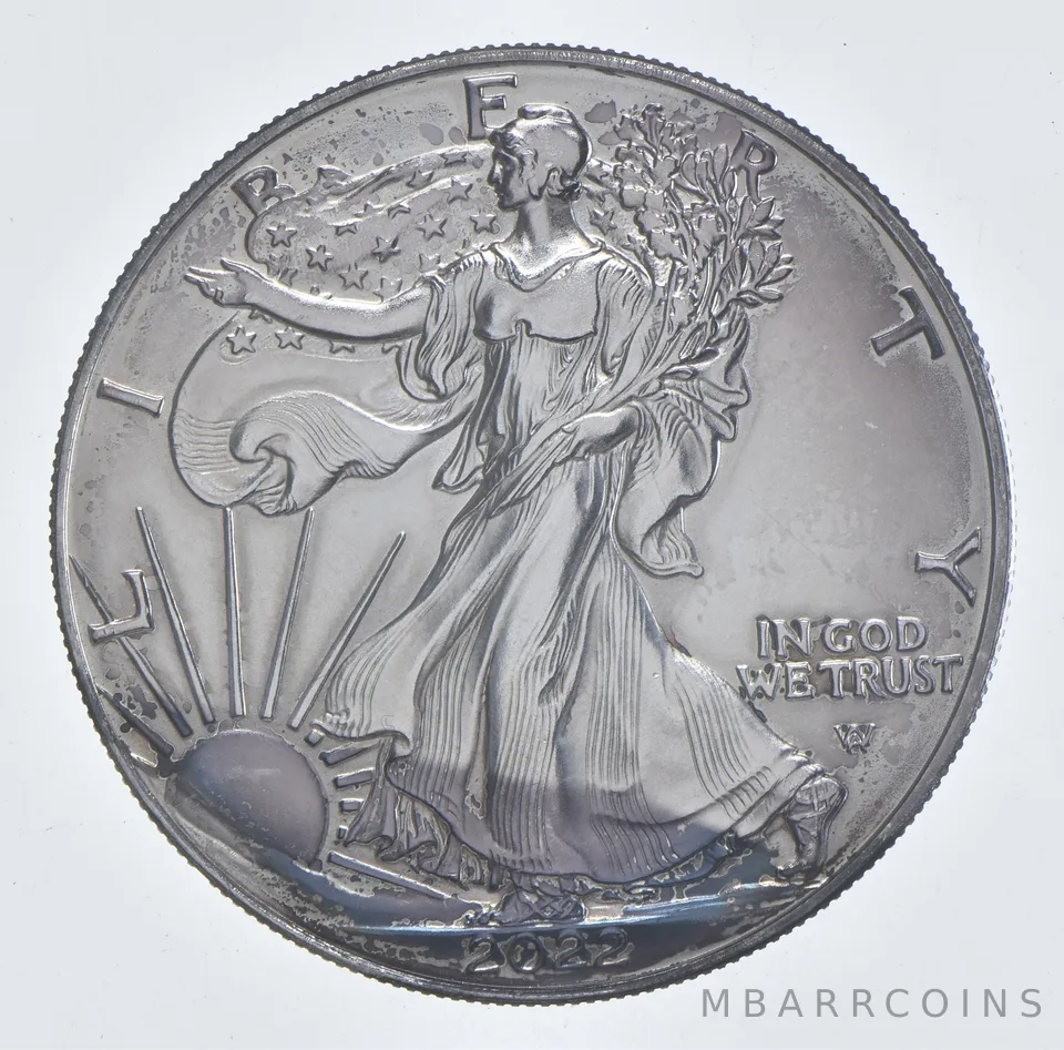 Better Date 2022 American Silver Eagle 1 Troy Oz .999 Fine Silver *443