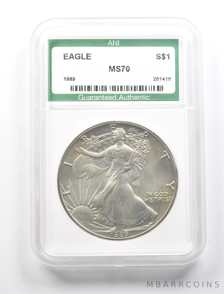 1989 American Silver Dollar *2718