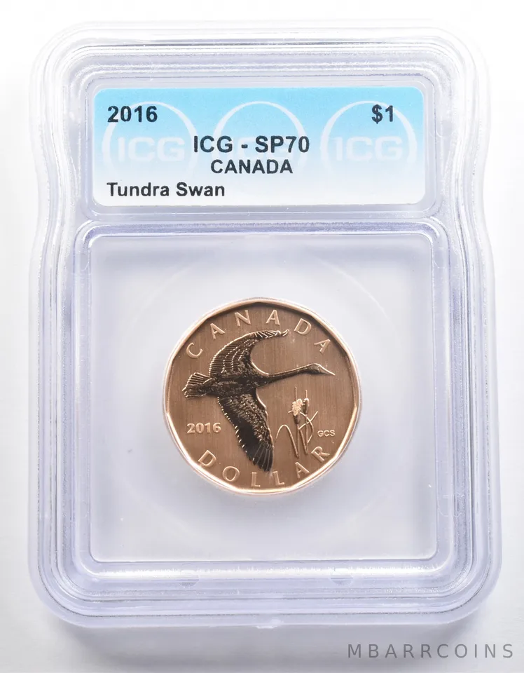 2016 Canada 1 Dollar Tundra Swan SP70 ICG *4025