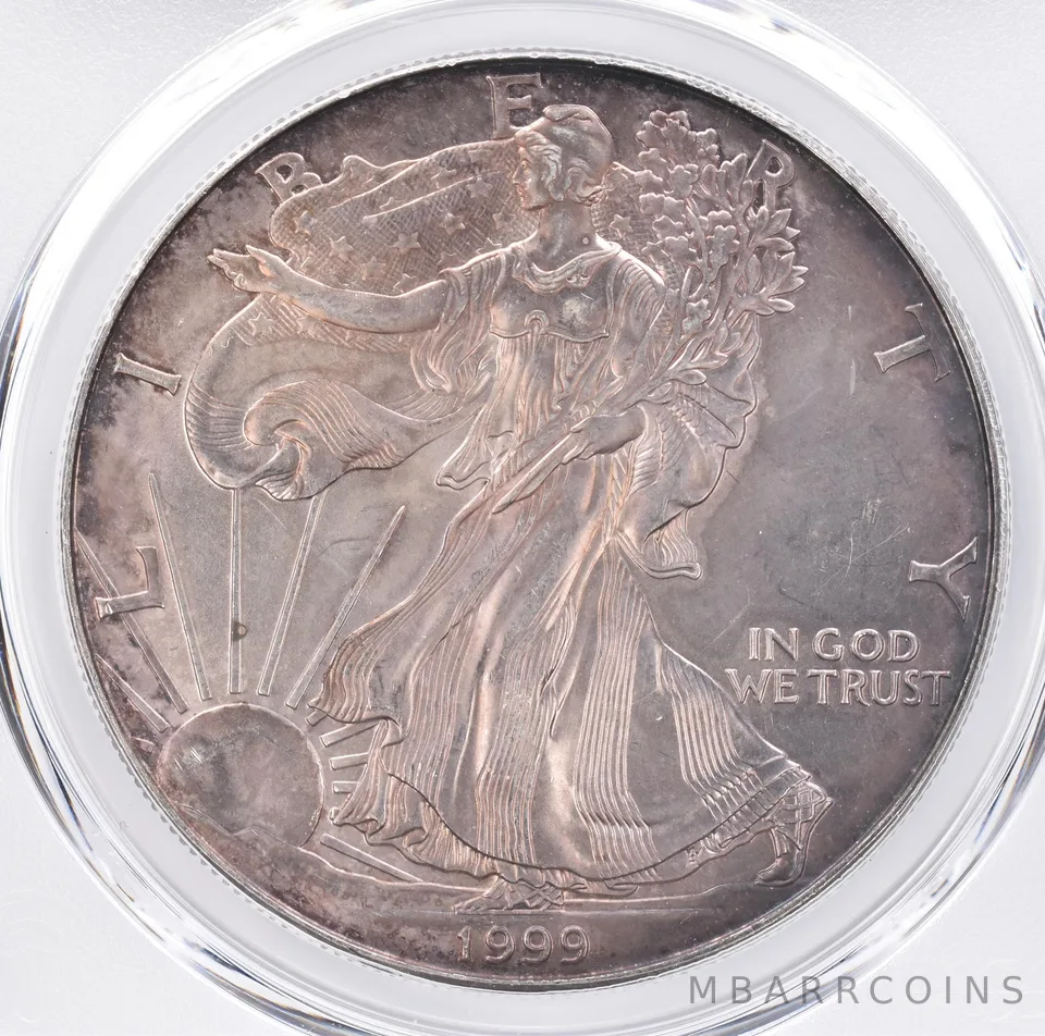 1999 American Silver Eagle MS66 PCGS Beautiful Tone *1417