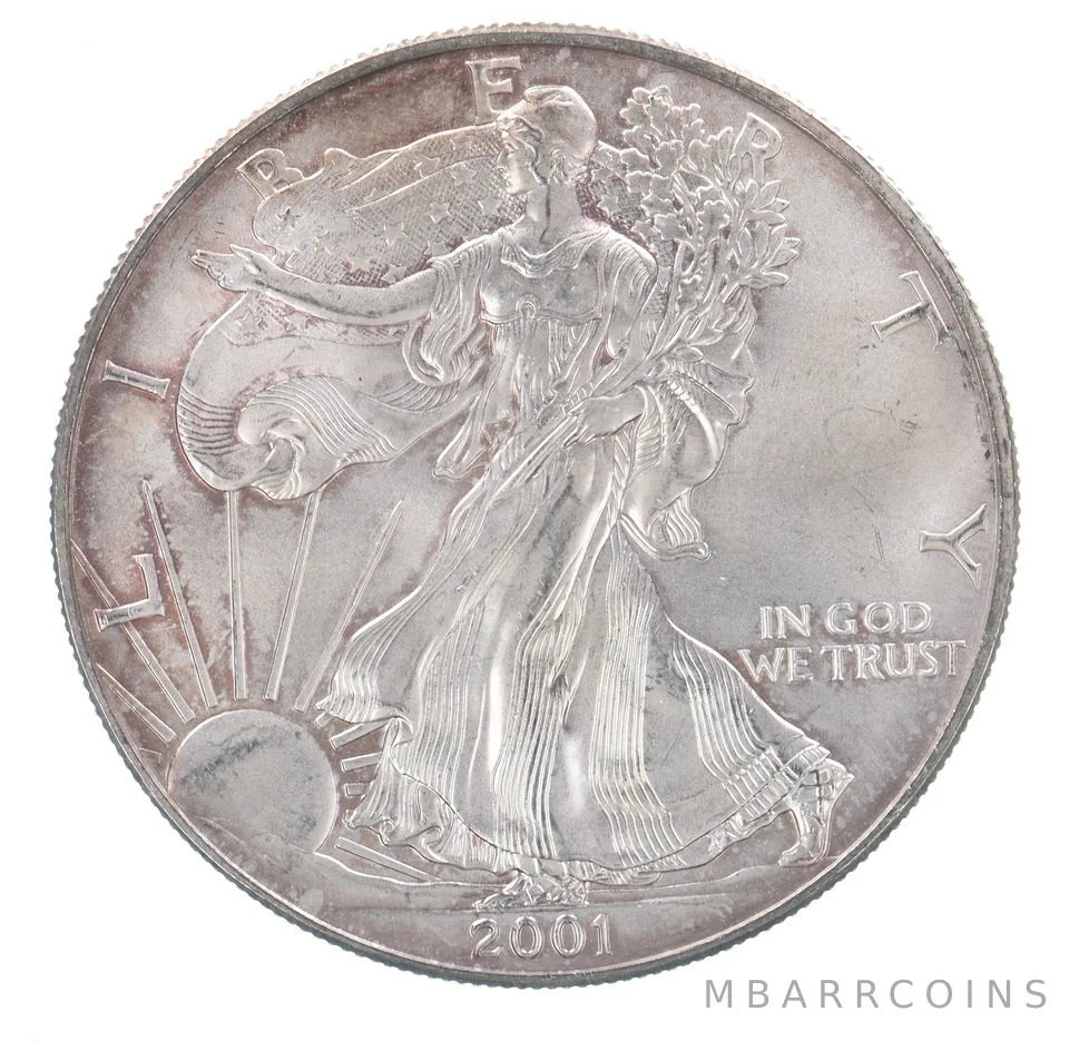 Beautiful Toned - 2001 American Silver Eagle 1 Troy Oz .999 Fine Silver *110