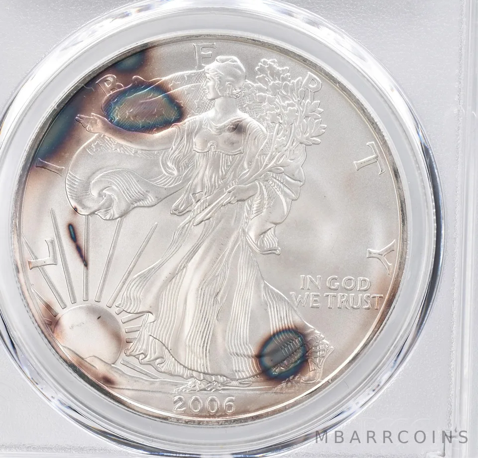 2006 American Silver Eagle MS69 PCGS Beautiful Tone *1123